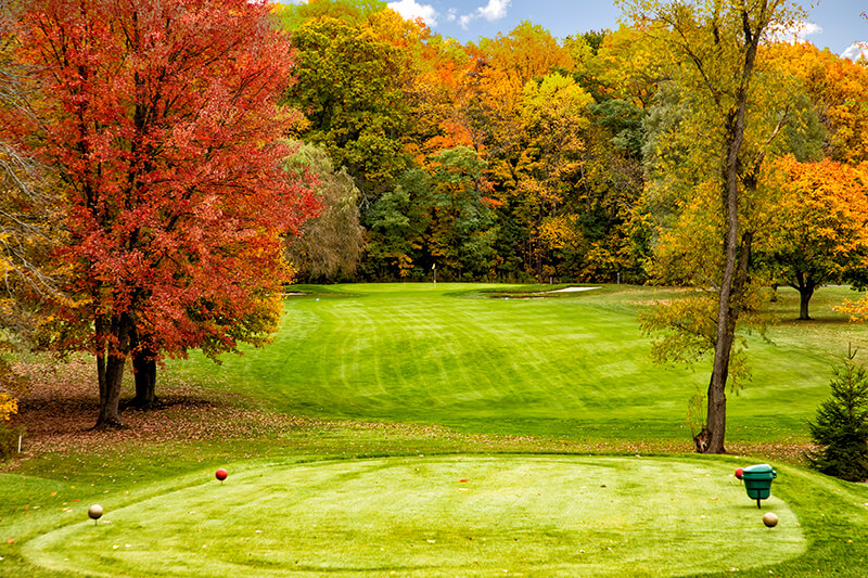 Golf Course Timber Ridge