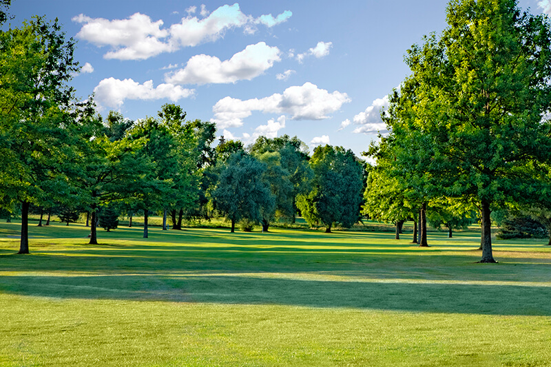 Golf Course - Timber Ridge