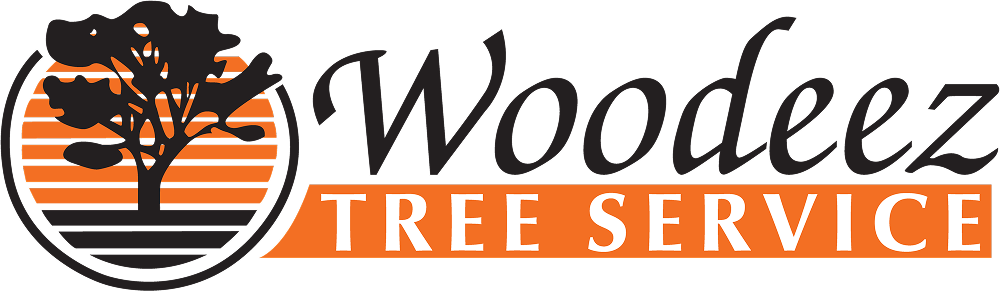Woodeez logo in full color