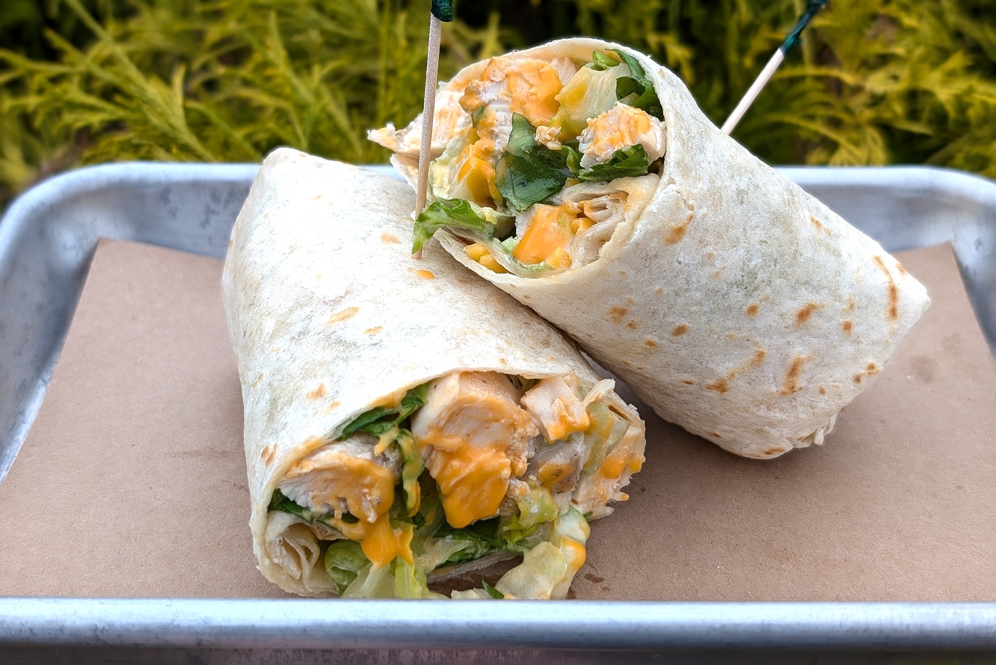 A tortilla wrap cut in half, filled with lettuce, grilled chicken, and melted cheddar cheese, served on brown paper in a metal tray with a green leafy background.