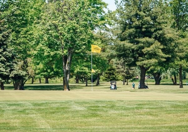 golf course with trees and a yellow flag golf course, trees