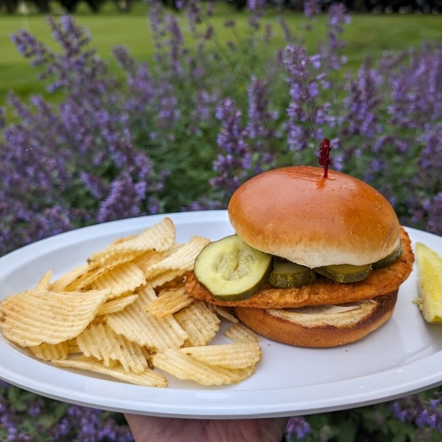 A chicken sandwich with pickles and chips on a plate