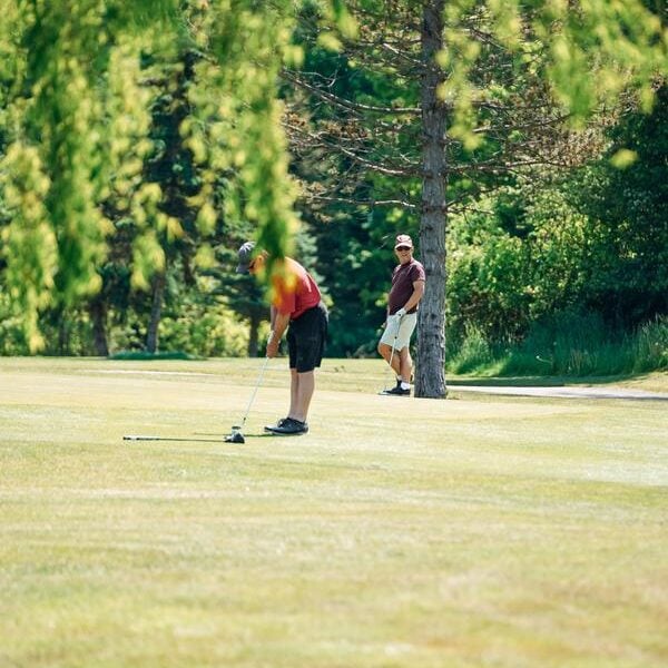 Golfers playing on a course